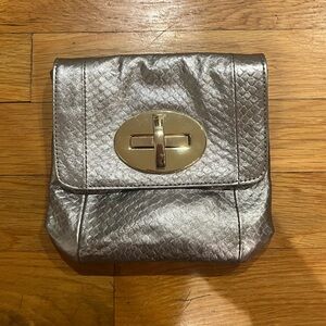 Zina Eva Silver Evening/Formal Bag